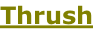 Thrush