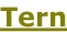 Tern
