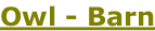 Owl - Barn