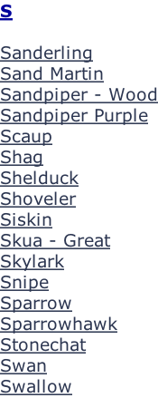 S  Sanderling Sand Martin Sandpiper - Wood Sandpiper Purple Scaup Shag Shelduck Shoveler Siskin Skua - Great Skylark Snipe Sparrow Sparrowhawk Stonechat Swan  Swallow